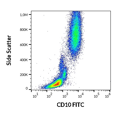 CD10 Antibody (FITC)