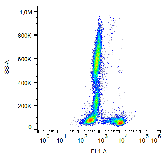 CD27 Antibody (FITC)