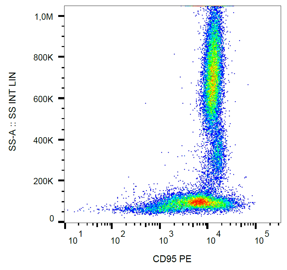 CD95 Antibody (PE)