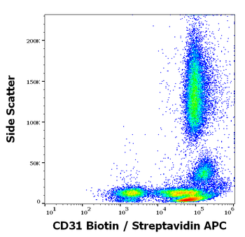 CD31 Antibody (Biotin)