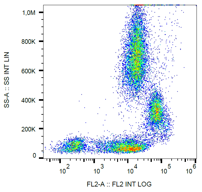CD31 Antibody (PE)