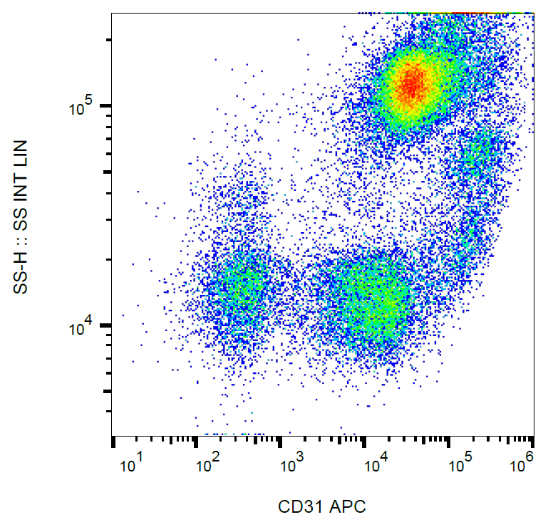 CD31 Antibody (APC)