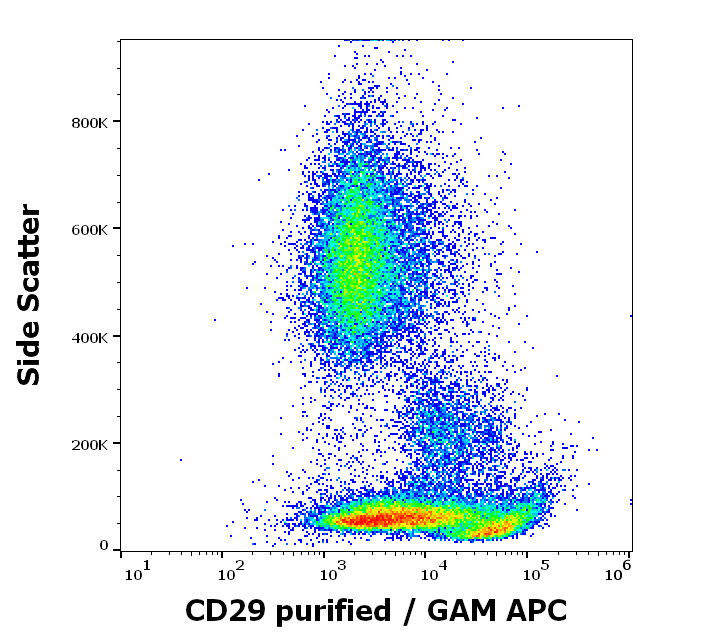 CD29 Antibody
