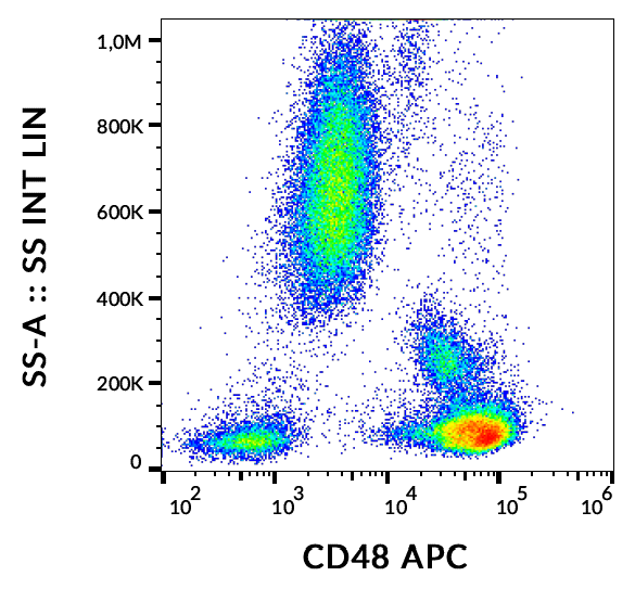 CD48 Antibody (APC)