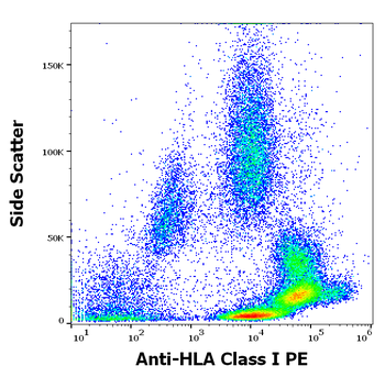 HLA Class I Antibody (PE)