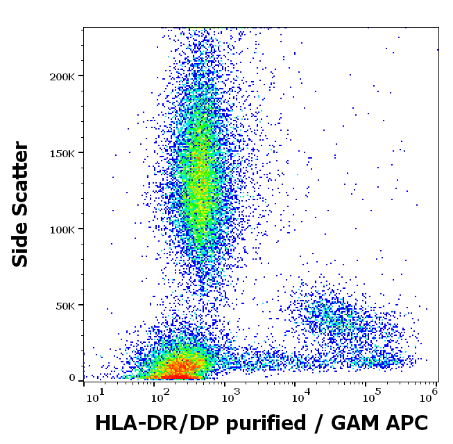 HLA-DR/DP Antibody