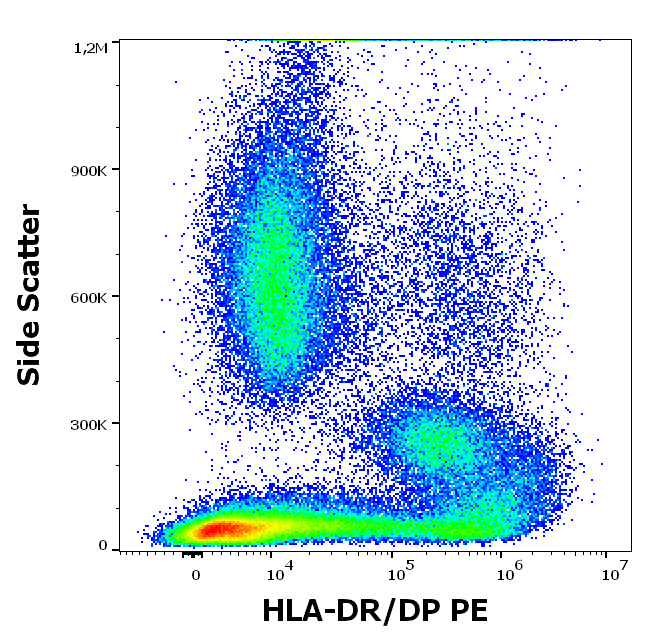HLA-DR/DP Antibody (PE)