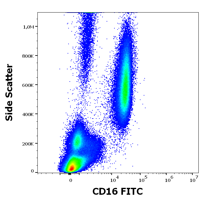 CD16 Antibody (FITC)