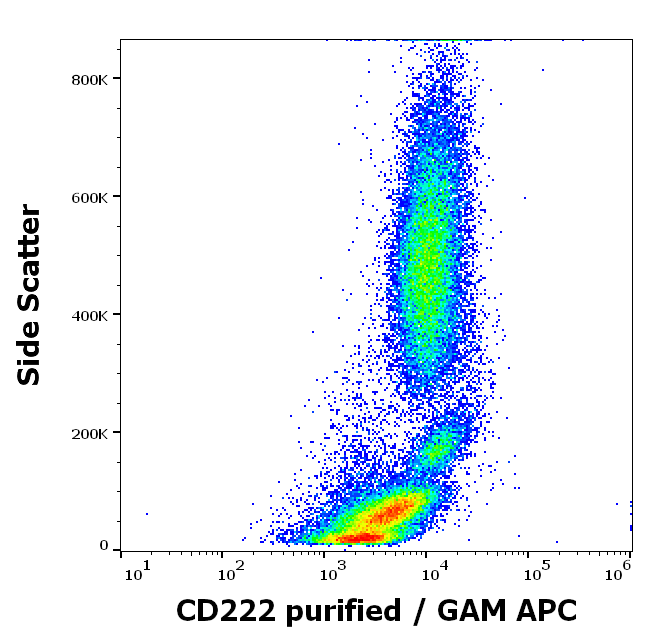 CD222 Antibody