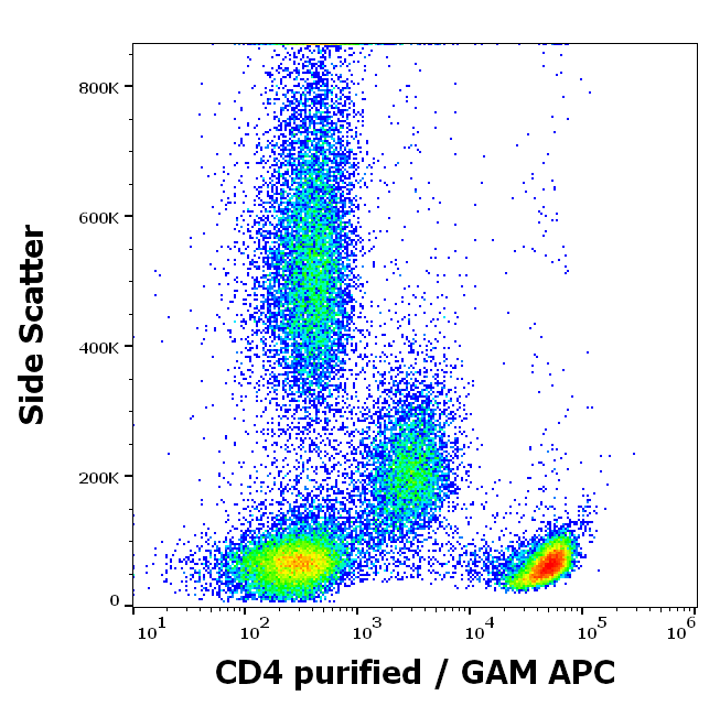 CD4 Antibody