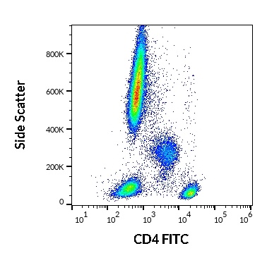 CD4 Antibody (FITC)