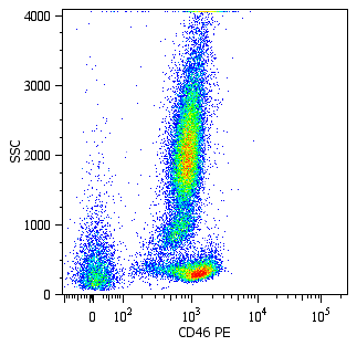 CD46 Antibody (PE)