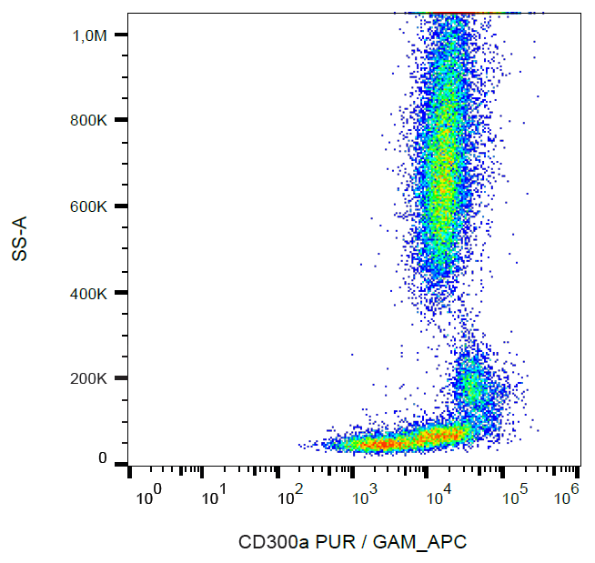 CD300a Antibody