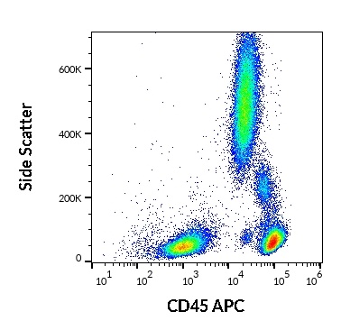 CD45 Antibody (APC)
