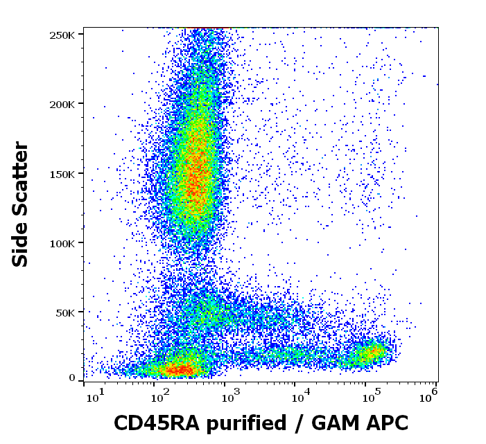CD45RA Antibody