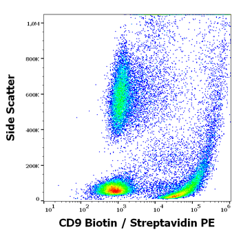 CD9 Antibody (Biotin)