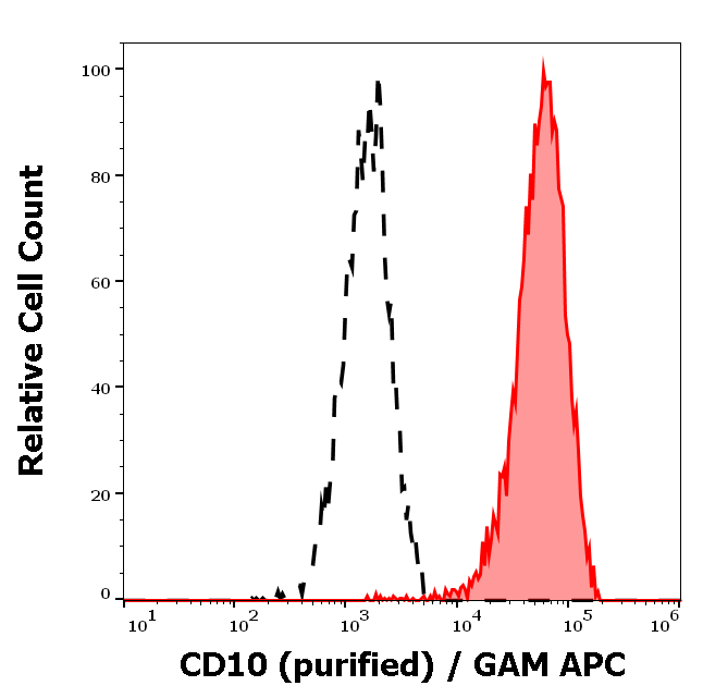 CD10 Antibody