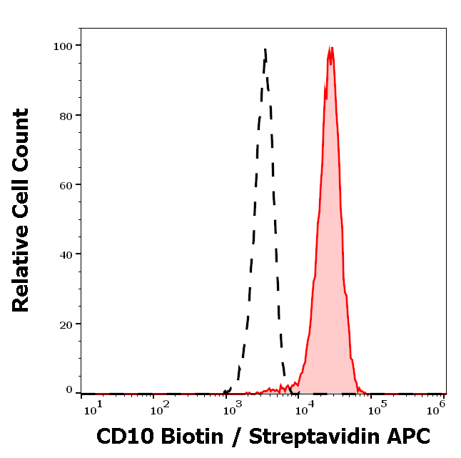 CD10 Antibody (Biotin)