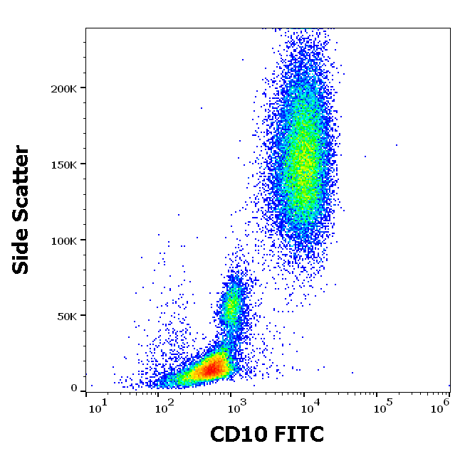 CD10 Antibody (FITC)