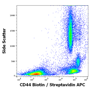CD44 Antibody (Biotin)