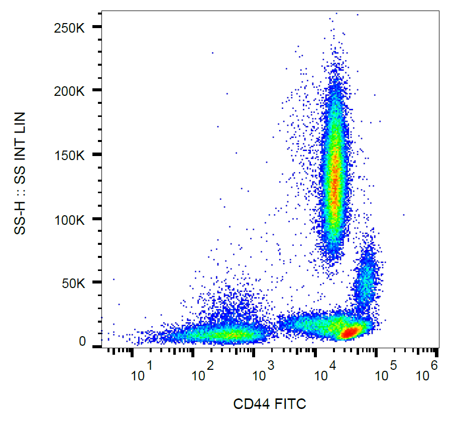 CD44 Antibody (FITC)