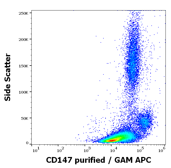 CD147 Antibody
