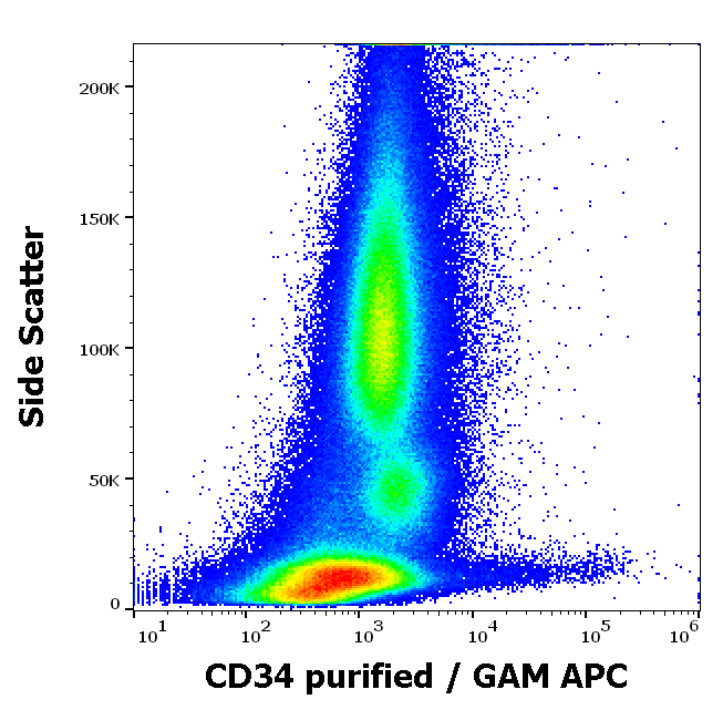 CD34 Antibody