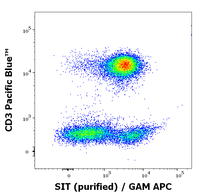 SIT Antibody