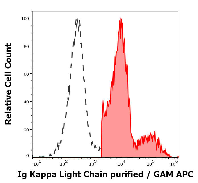 Ig Kappa Light Chain Antibody