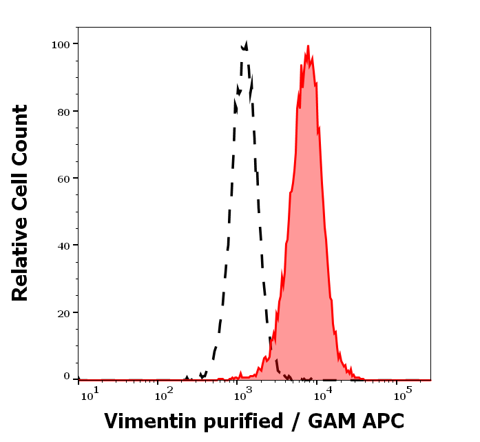 Vimentin Antibody