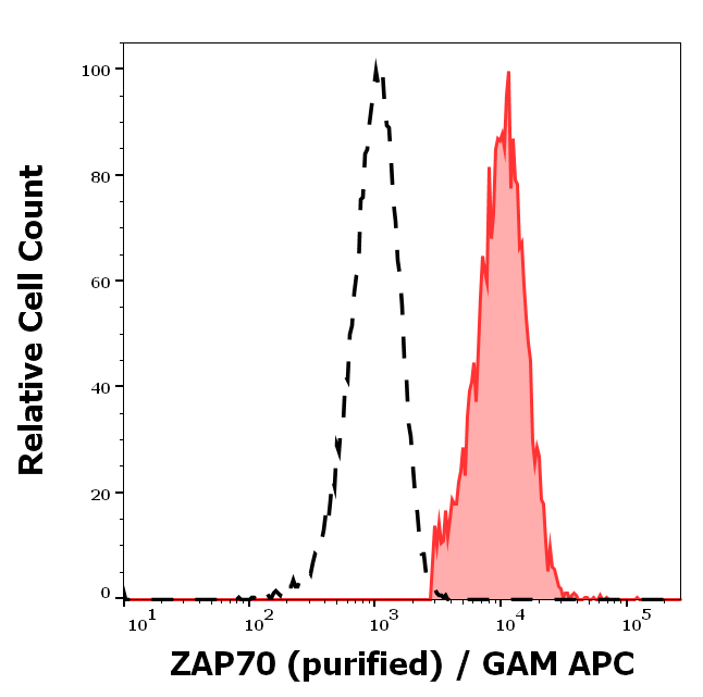 ZAP70 Antibody
