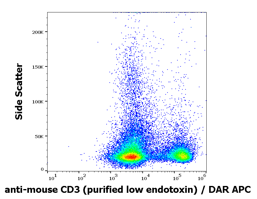 CD3 Antibody