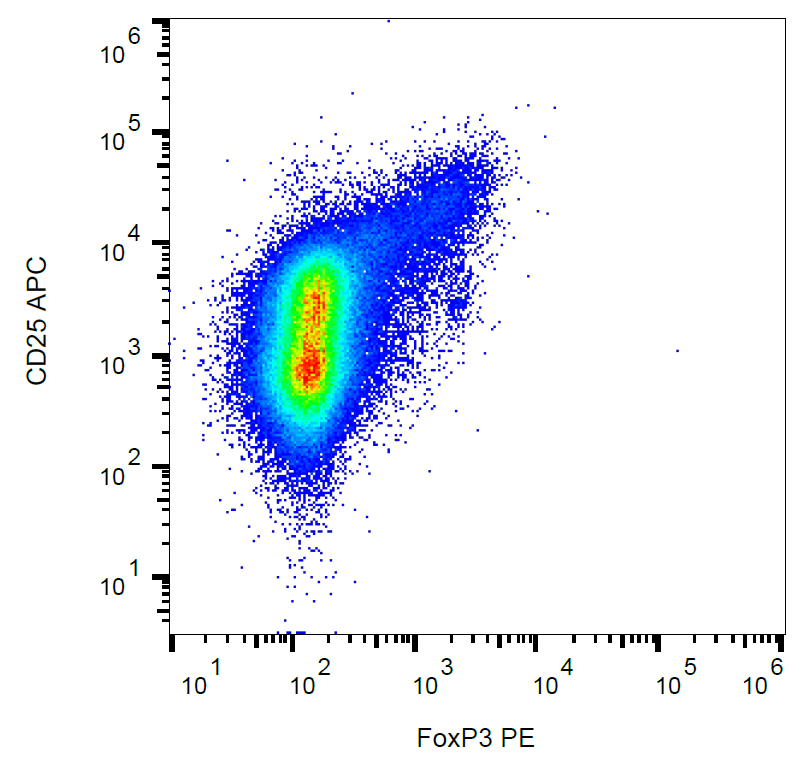 FoxP3 Antibody (PE)