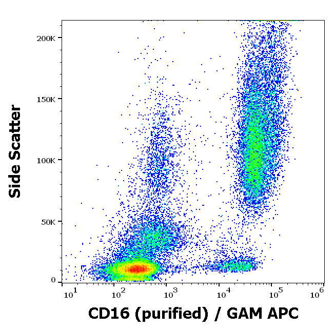 CD16 Antibody