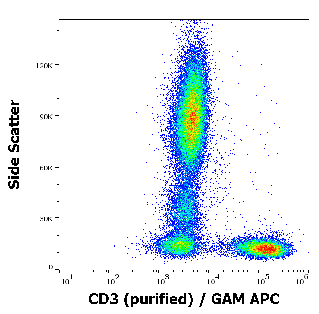 CD3 Antibody