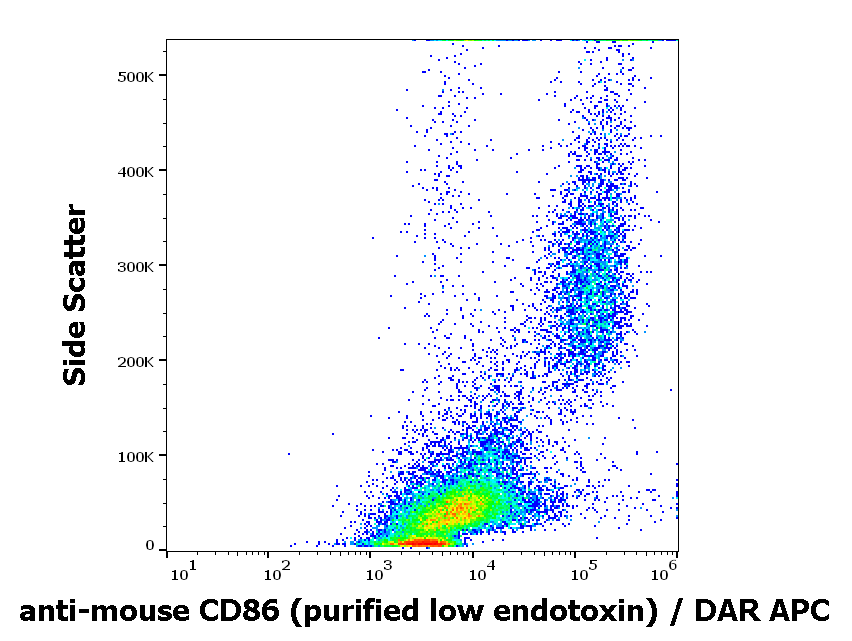 CD86 Antibody