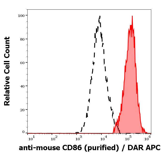 CD86 Antibody