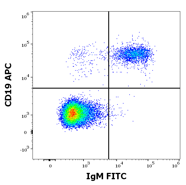 IgM Antibody (FITC)