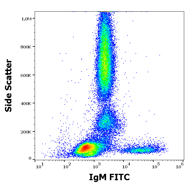 IgM Antibody (FITC)