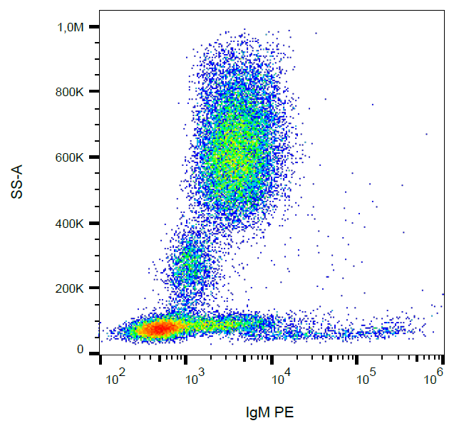IgM Antibody (PE)