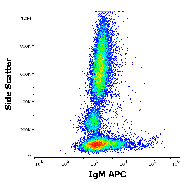 IgM Antibody (APC)