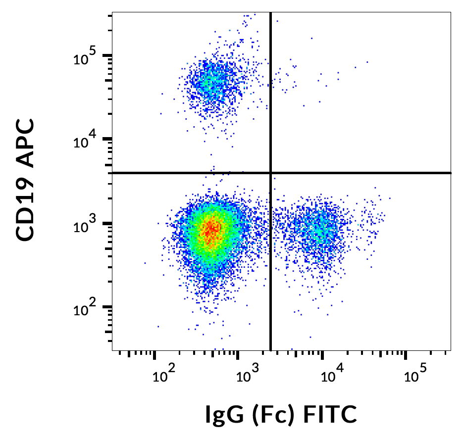 IgG (Fc) Antibody (FITC)