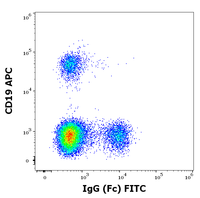 IgG (Fc) Antibody (FITC)