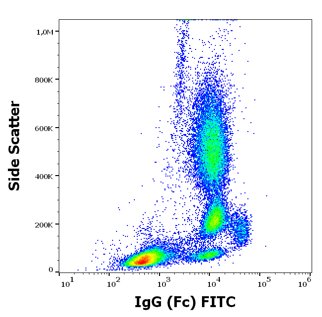 IgG (Fc) Antibody (FITC)