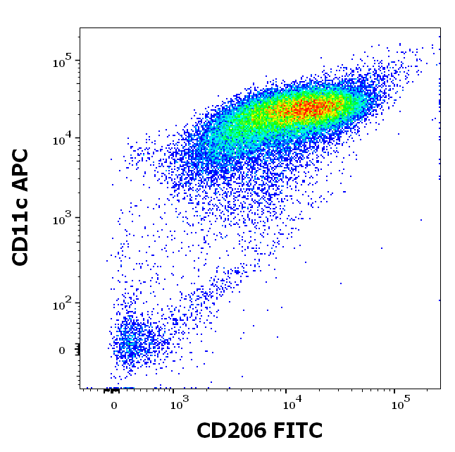 CD206 Antibody (FITC)