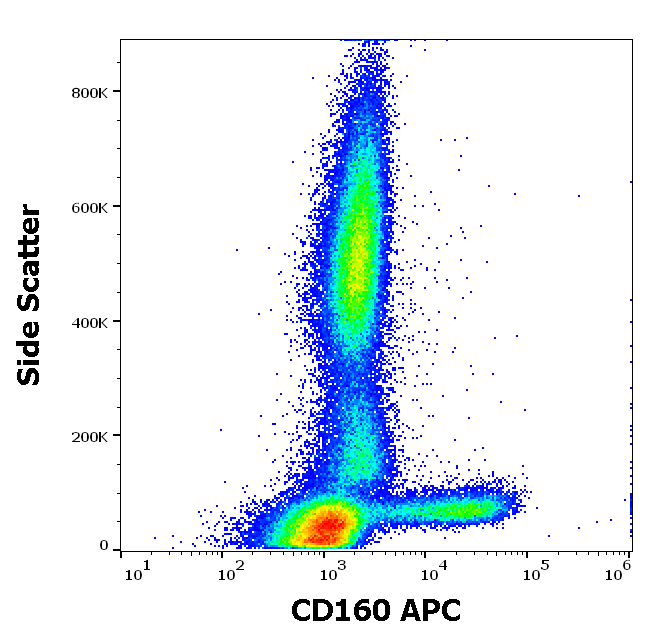 CD160 Antibody (APC)