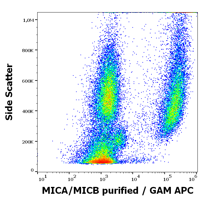 MICA/MICB Antibody