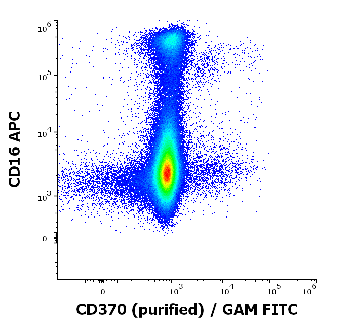 CD370 Antibody