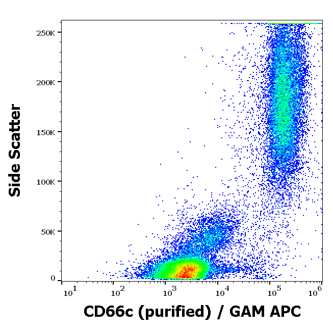 CD66c Antibody