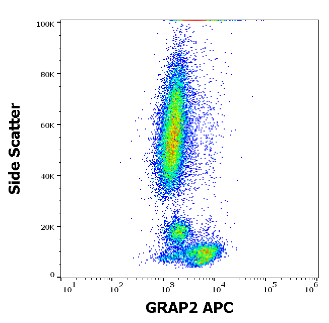 GRAP2 Antibody (APC)